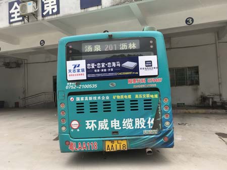 惠州巴士车体车身广告-恋爱恋家恋海马