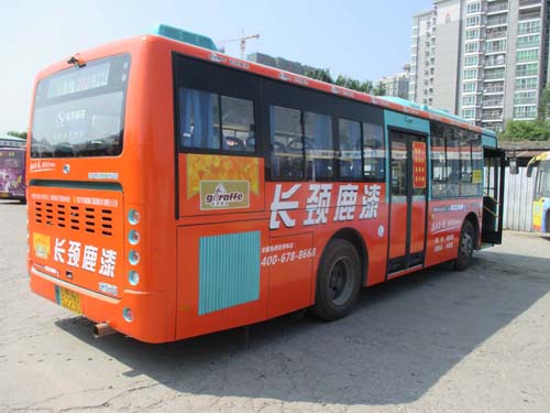 长颈鹿漆源自香港-进驻做公交车体广告